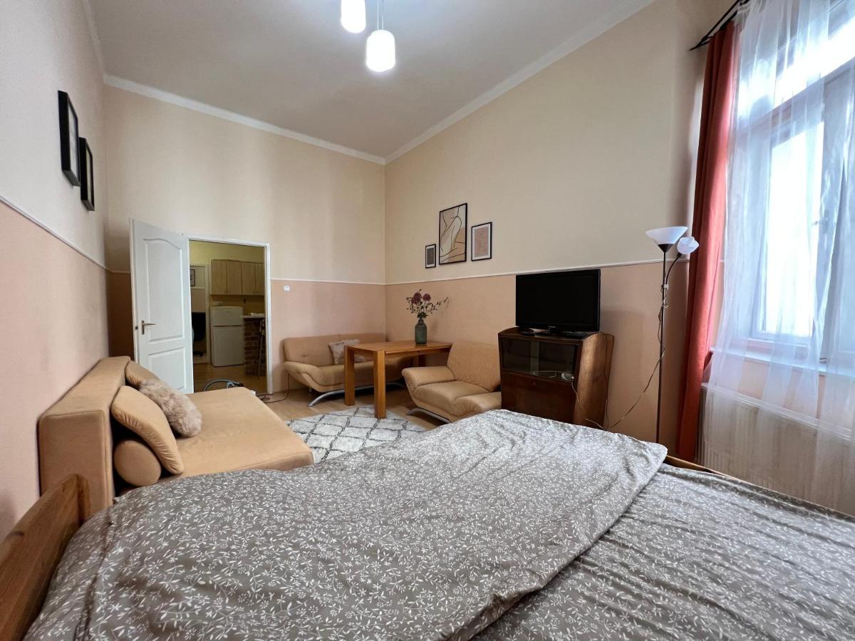 Old Town Apartment Szeged Buitenkant foto